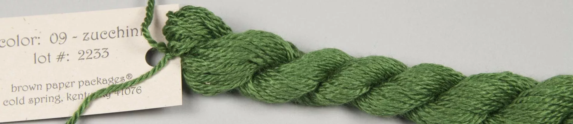 09 ZUCCHINI
