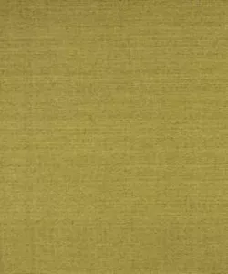 Ketch Lime M9446 by Barrow Fabric