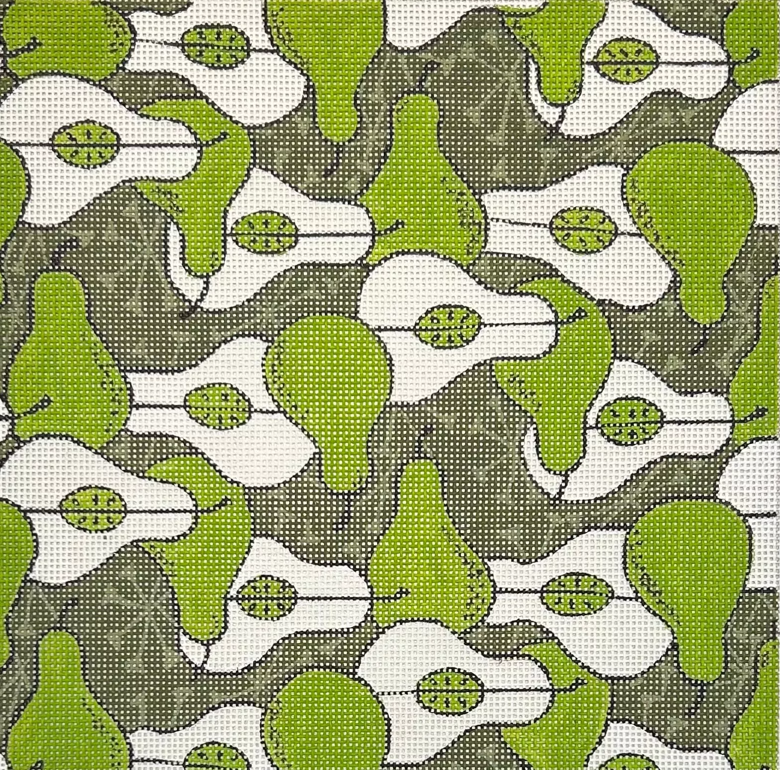 LC1116B PEARS