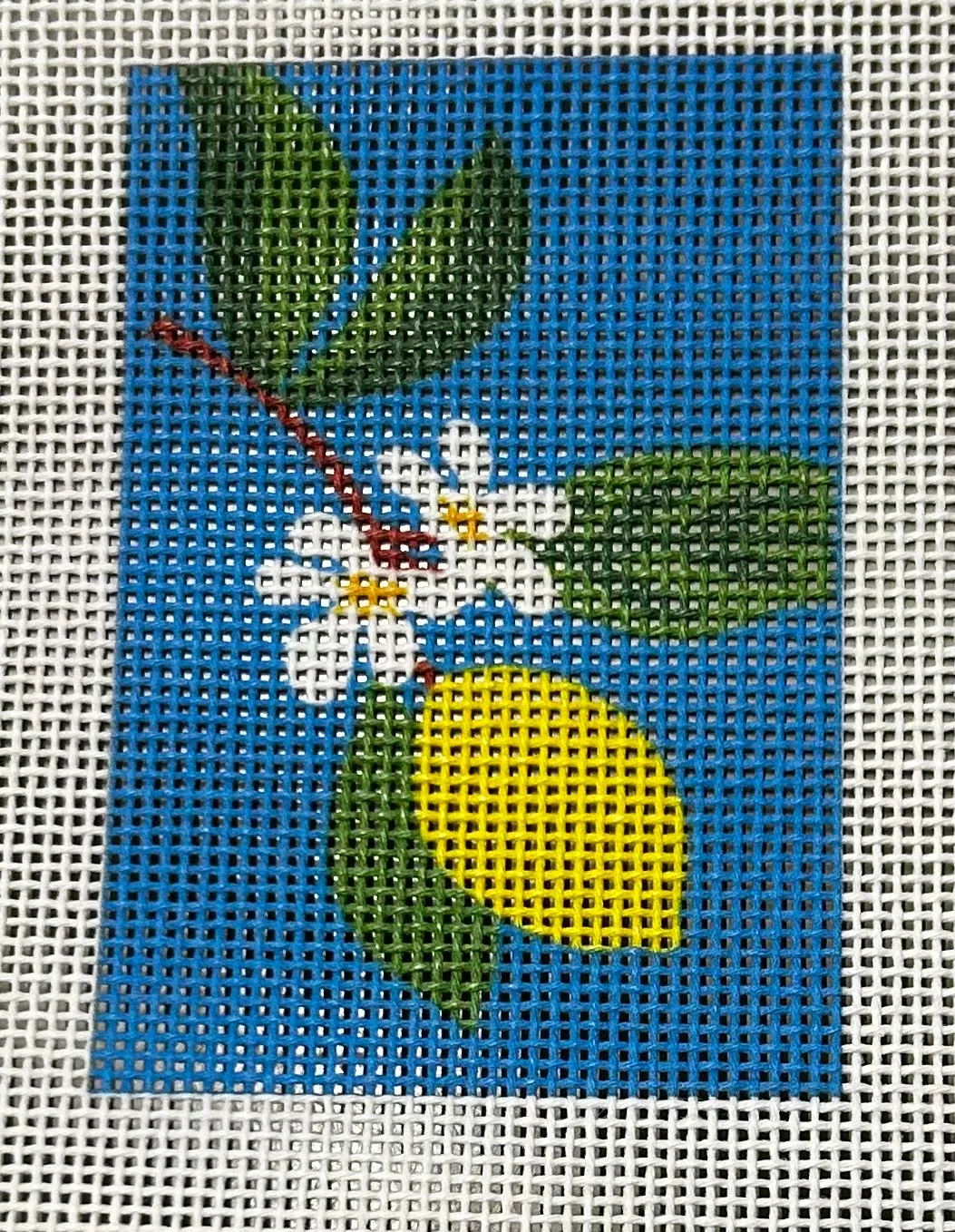 RN314 LEMON LUGGAGE TAG