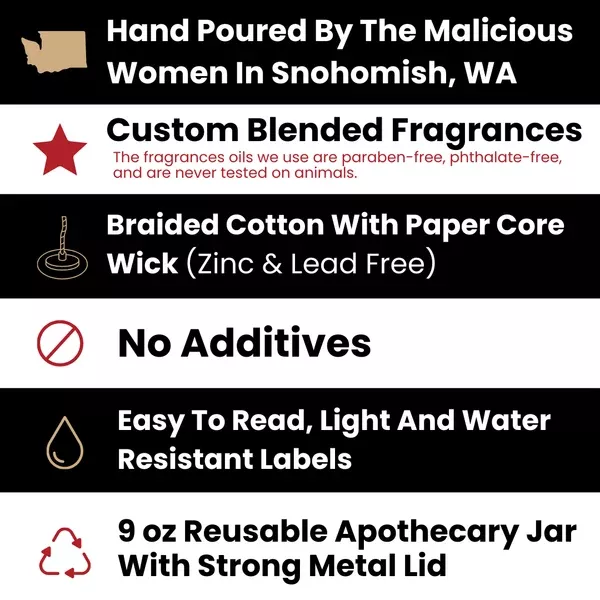 What The Fuck Is Happening 9oz Family Candle Malicious Women Co