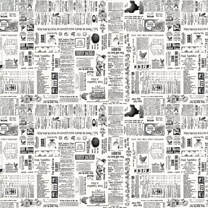 Zooming Chickens 7187-39 Off-White Newsprint
